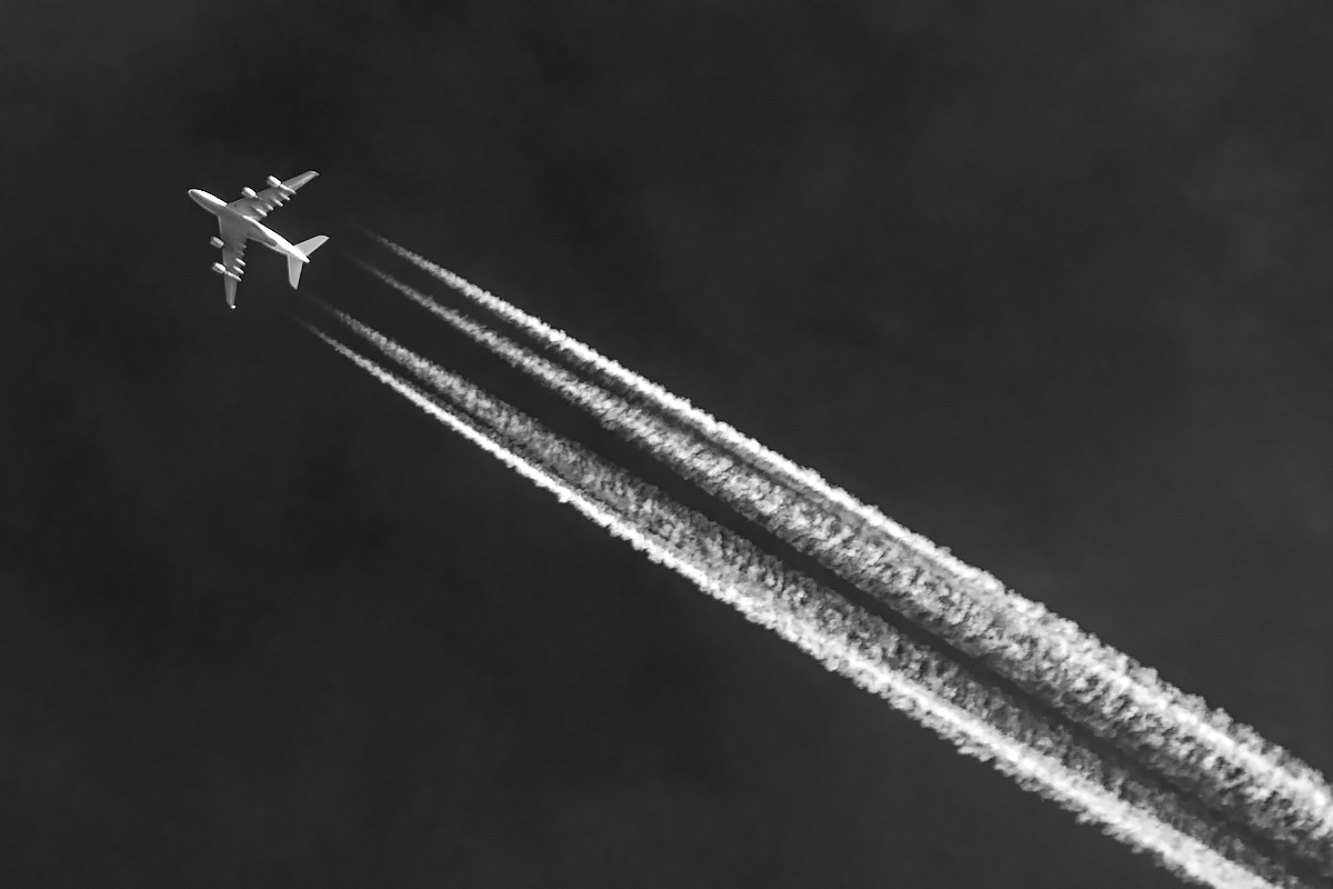 OF2_04677sw.jpg