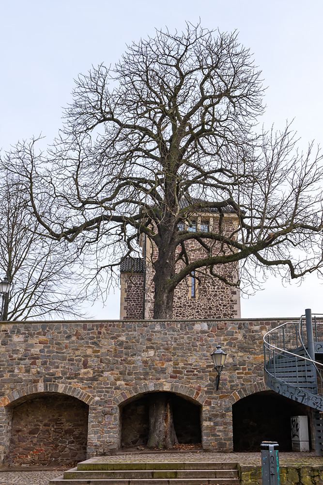 OF2_25359.jpg