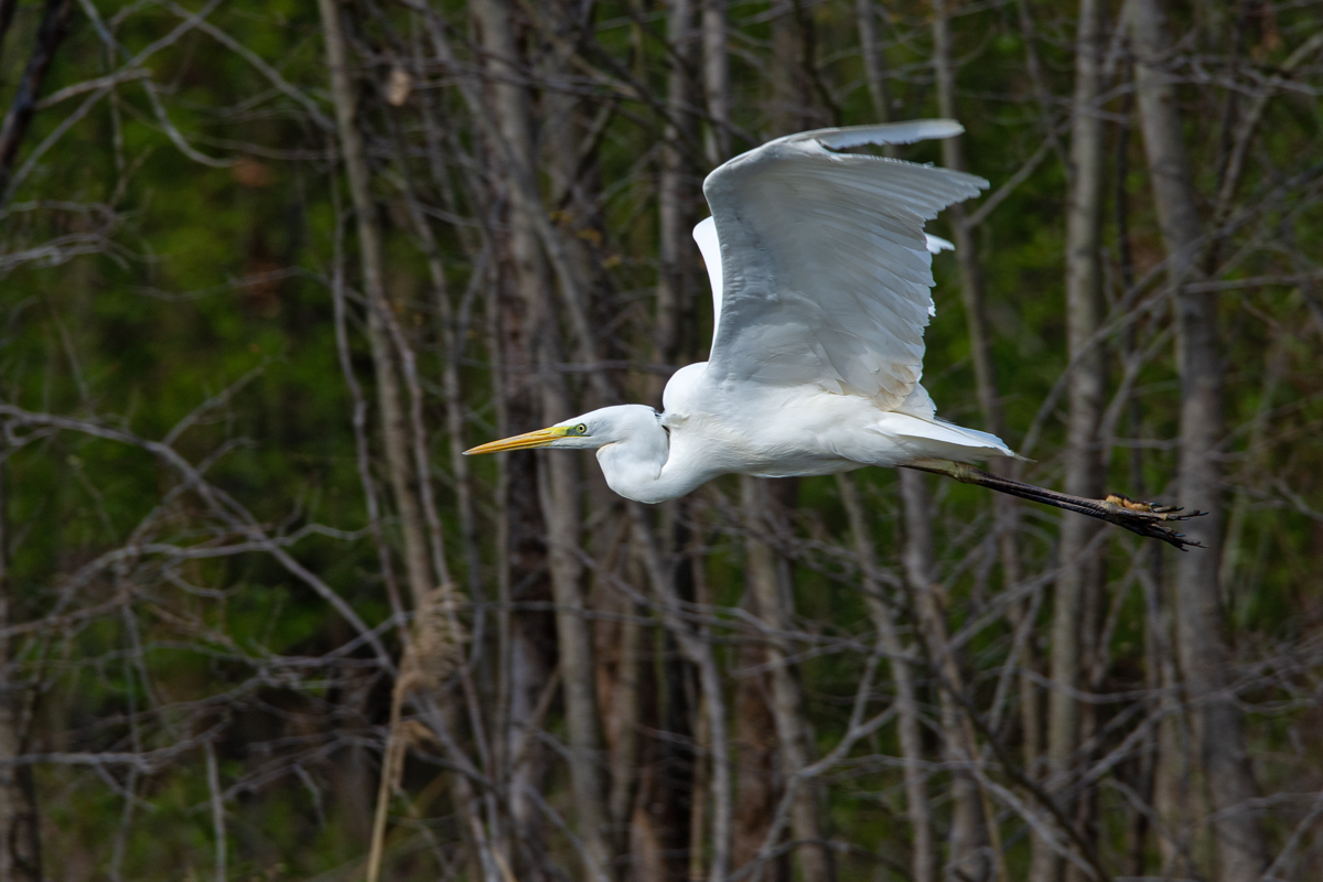 OF2_26742.jpg