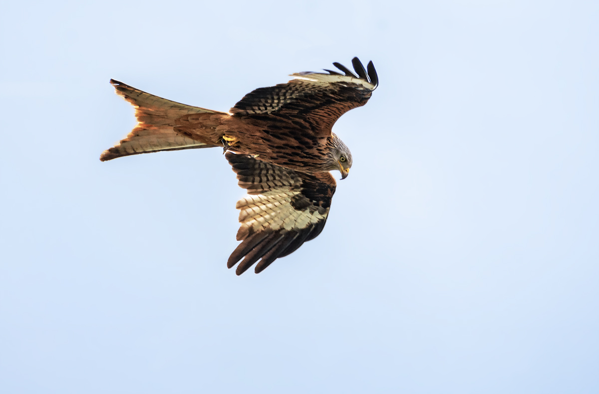 OF2_28011.jpg