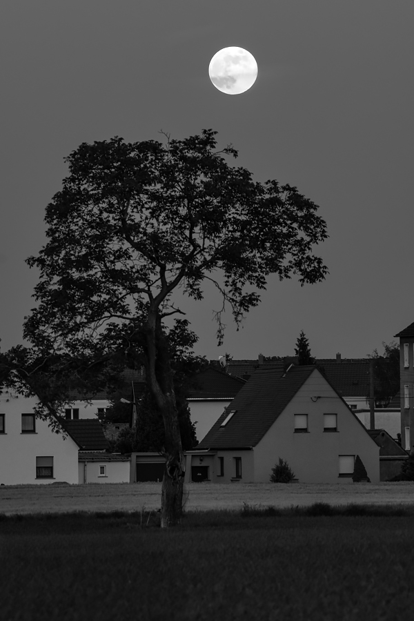 OF2_28404sw.jpg