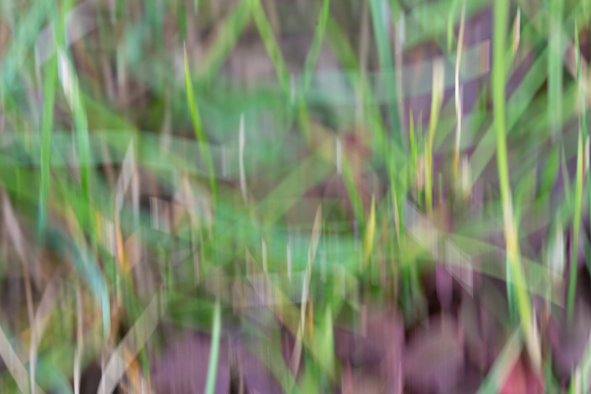 OF2_29853.jpg