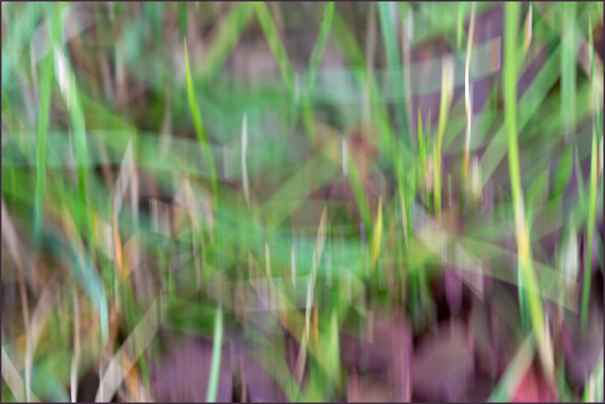 OF2_29853.jpg