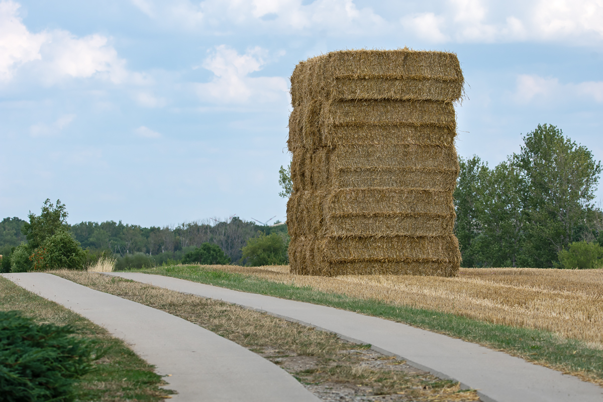 OF2_31469.jpg