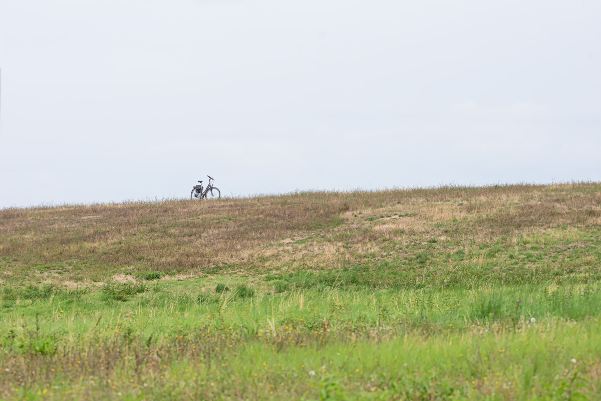 OF2_31733.jpg