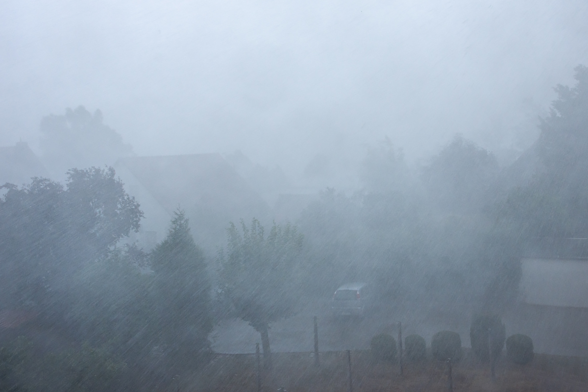 OF2_32113.jpg