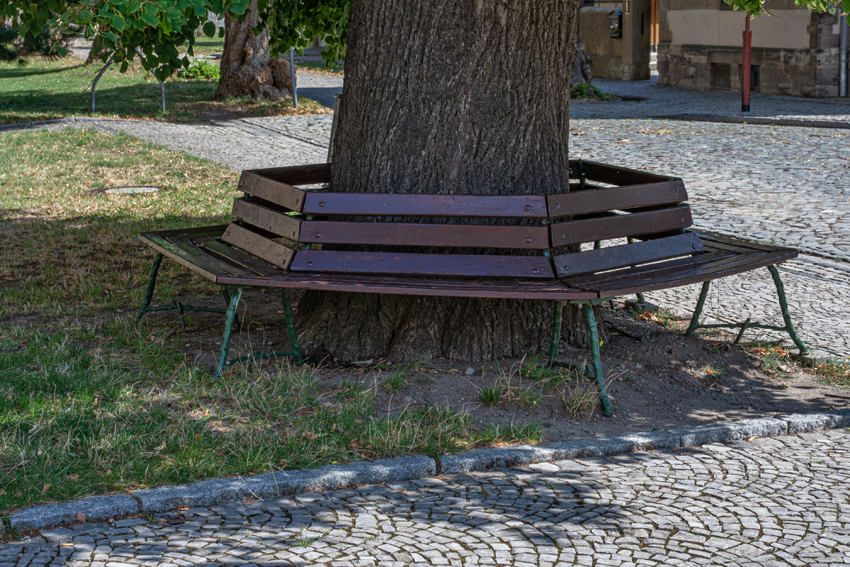OF2_32340.jpg