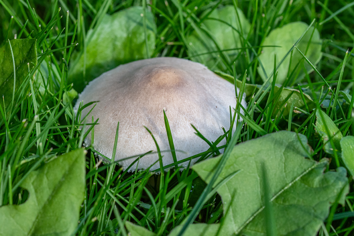 OF2_33172.jpg