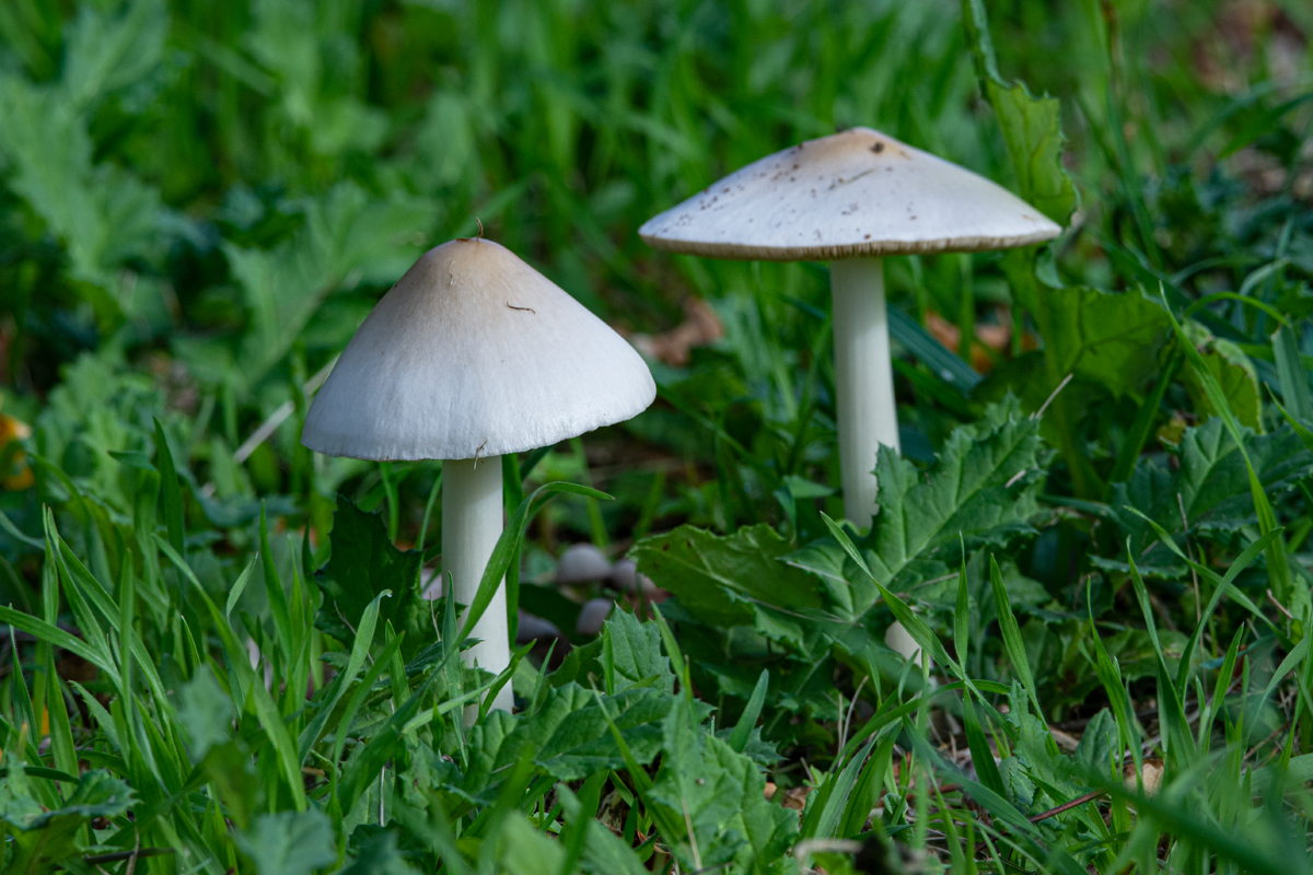 OF2_33853.jpg