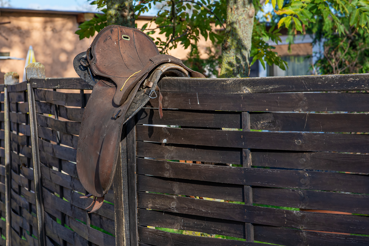 OF2_34233.jpg