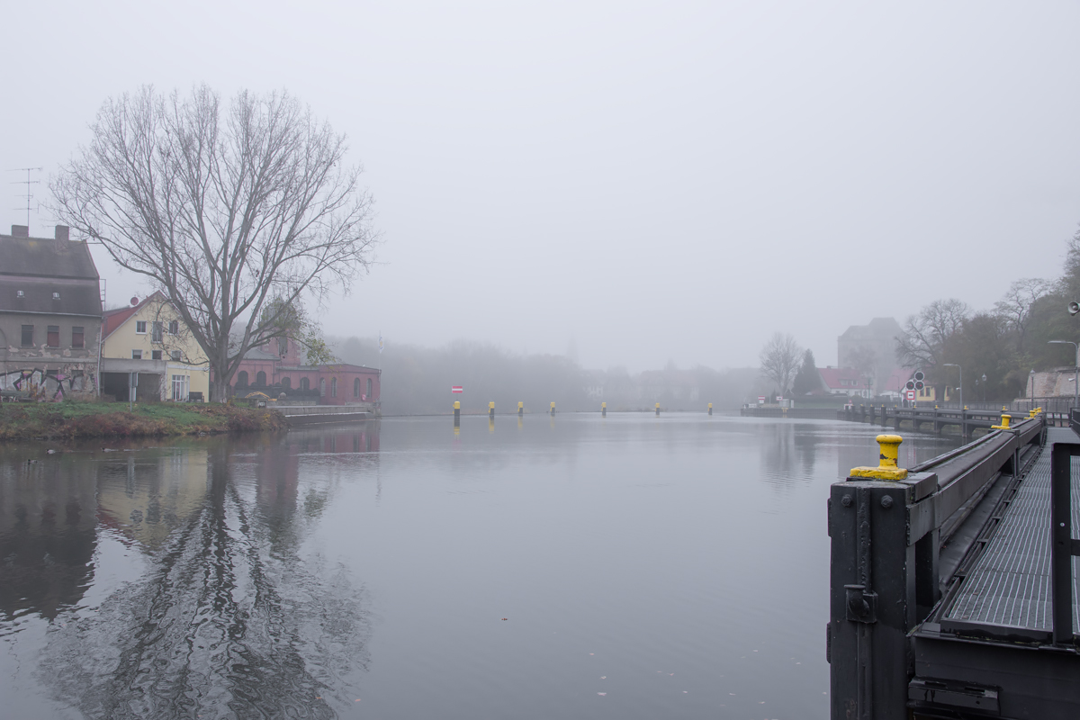 OF2_34523.jpg