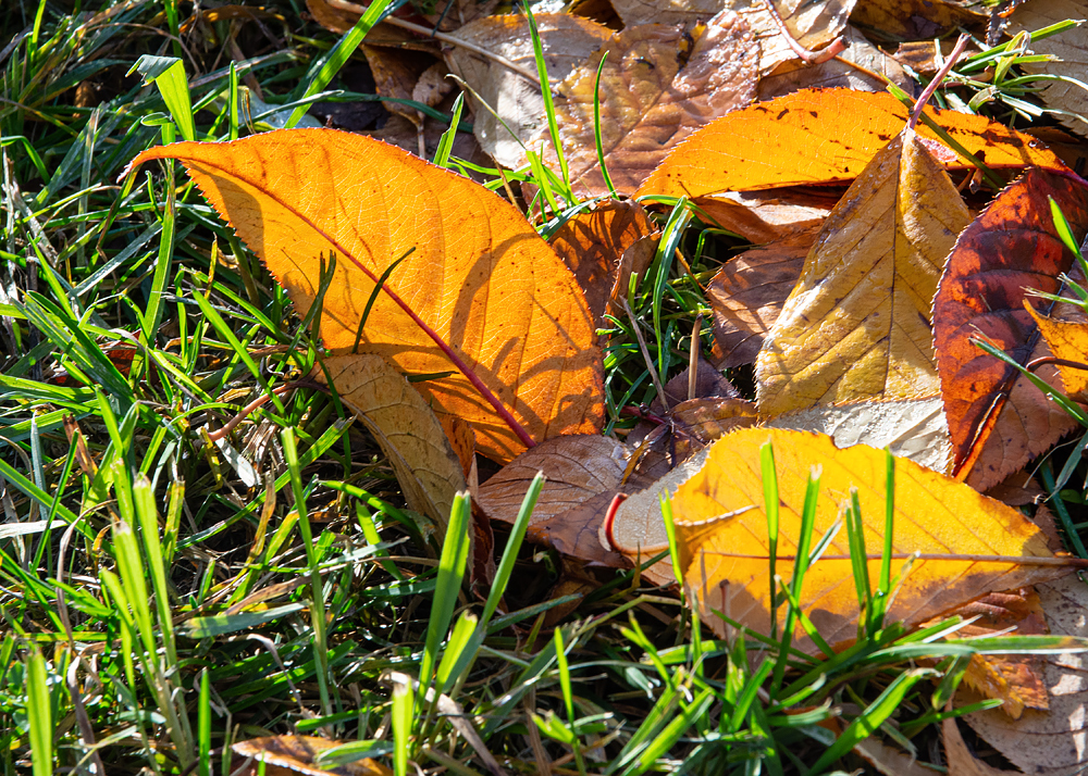 OF2_34671.jpg