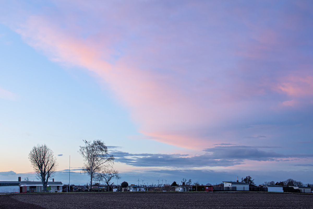 OF2_36474.jpg