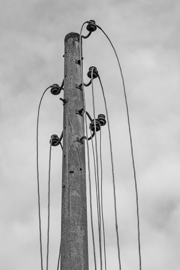 OF2_37053sw.jpg