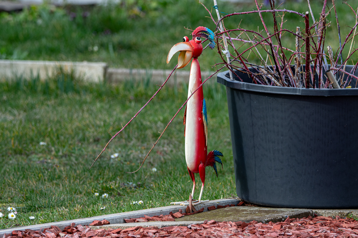 OF2_38049.jpg
