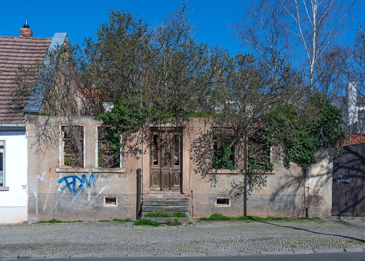 OF2_38971.jpg