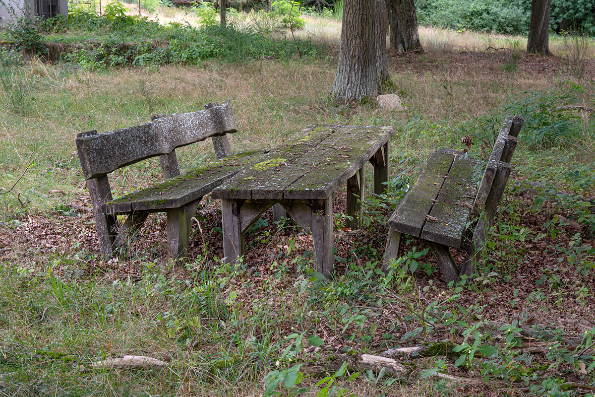 OF2_43490.jpg