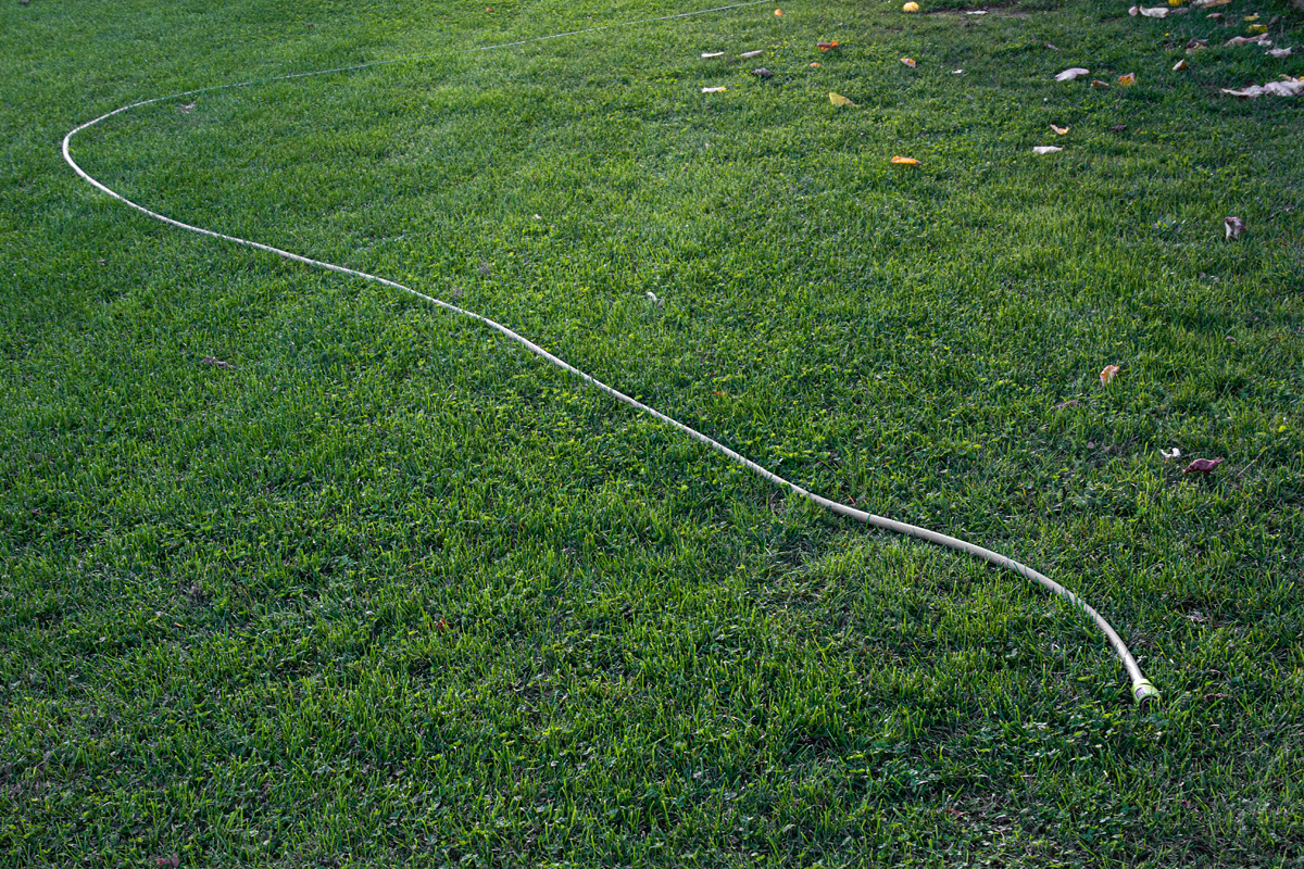 OF2_44370.jpg