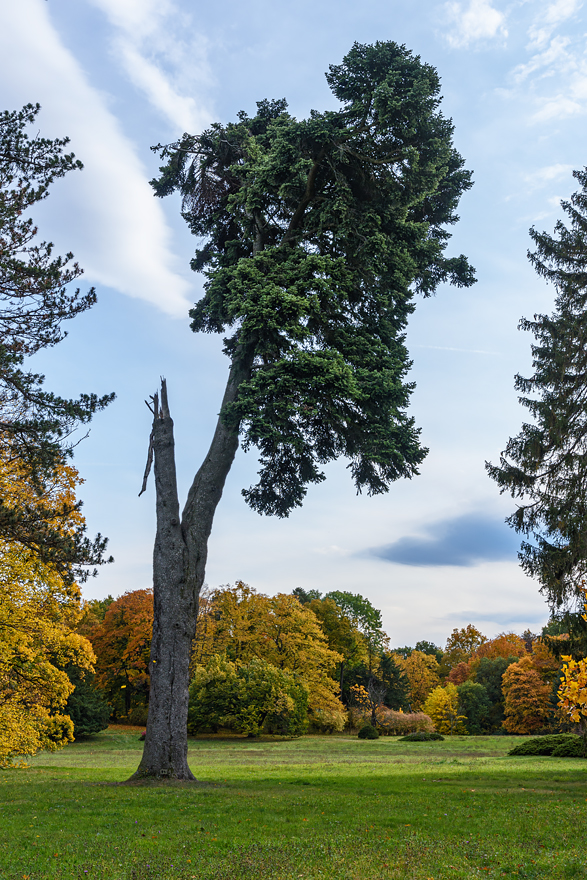 OF2_44436.jpg
