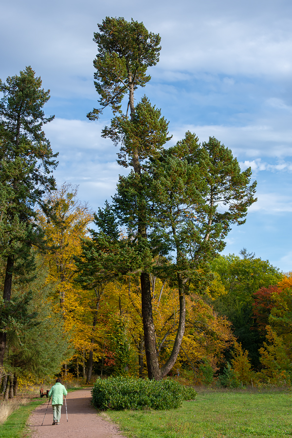 OF2_44448.jpg