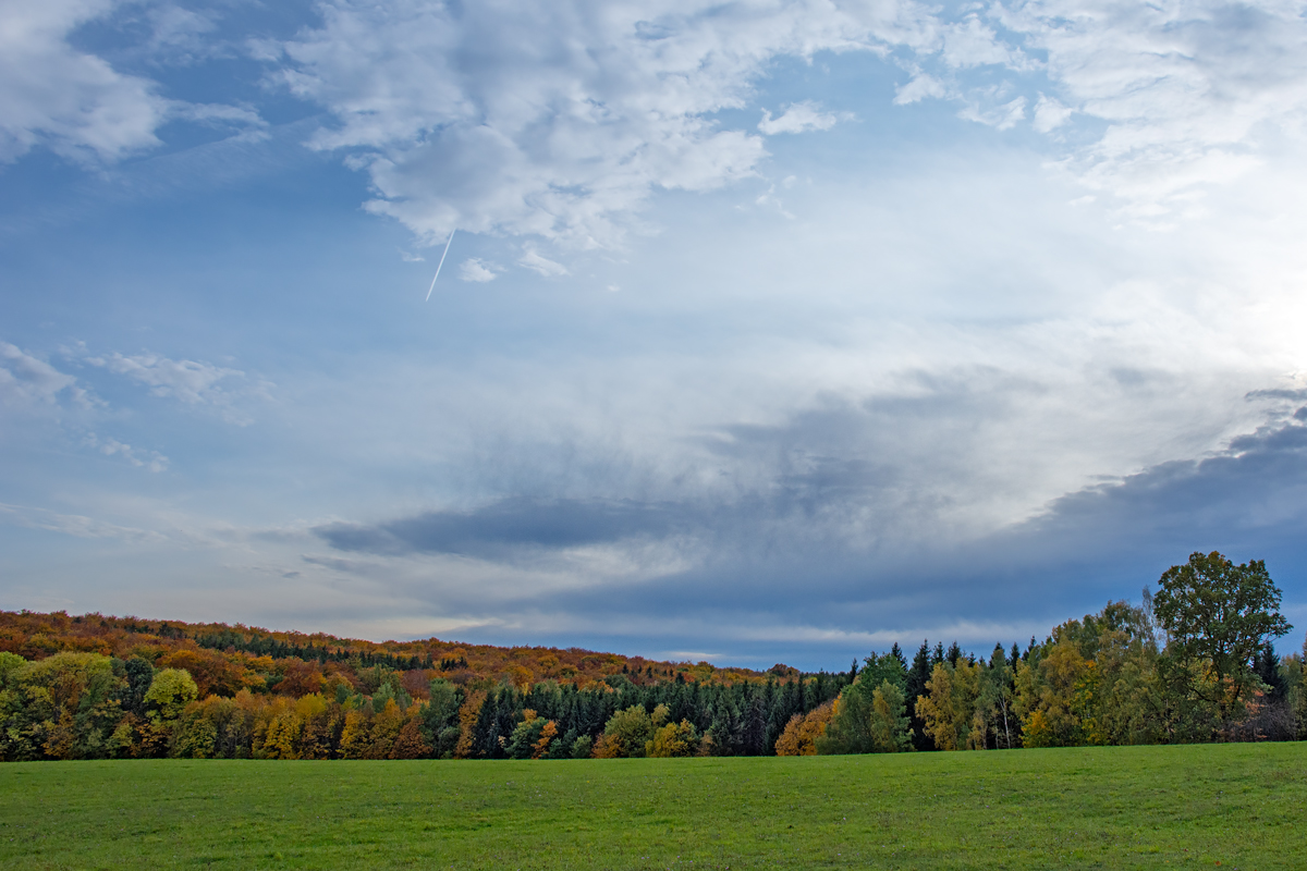 OF2_44462.jpg