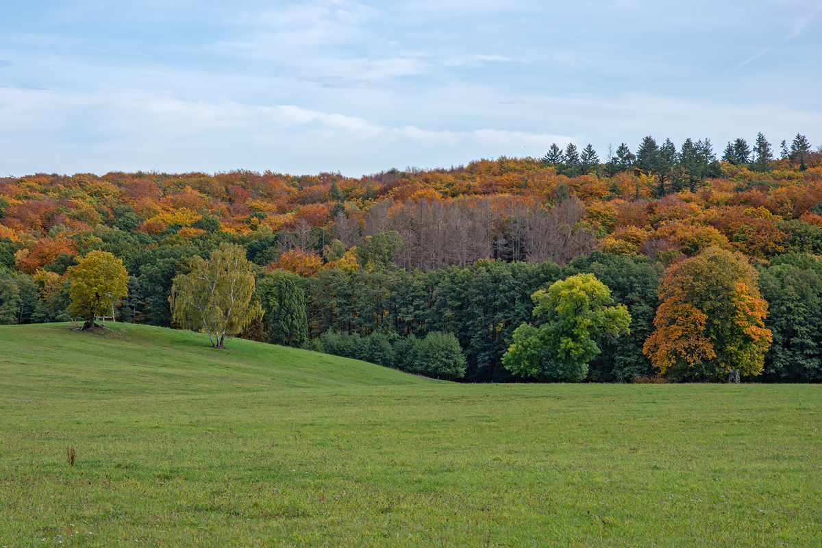OF2_44464.jpg