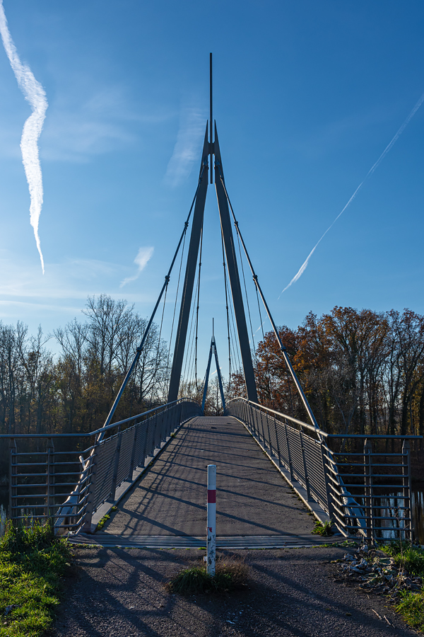 OF2_45307.jpg