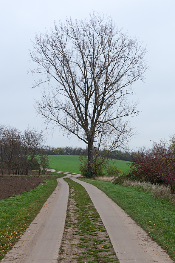 OF2_45515.jpg