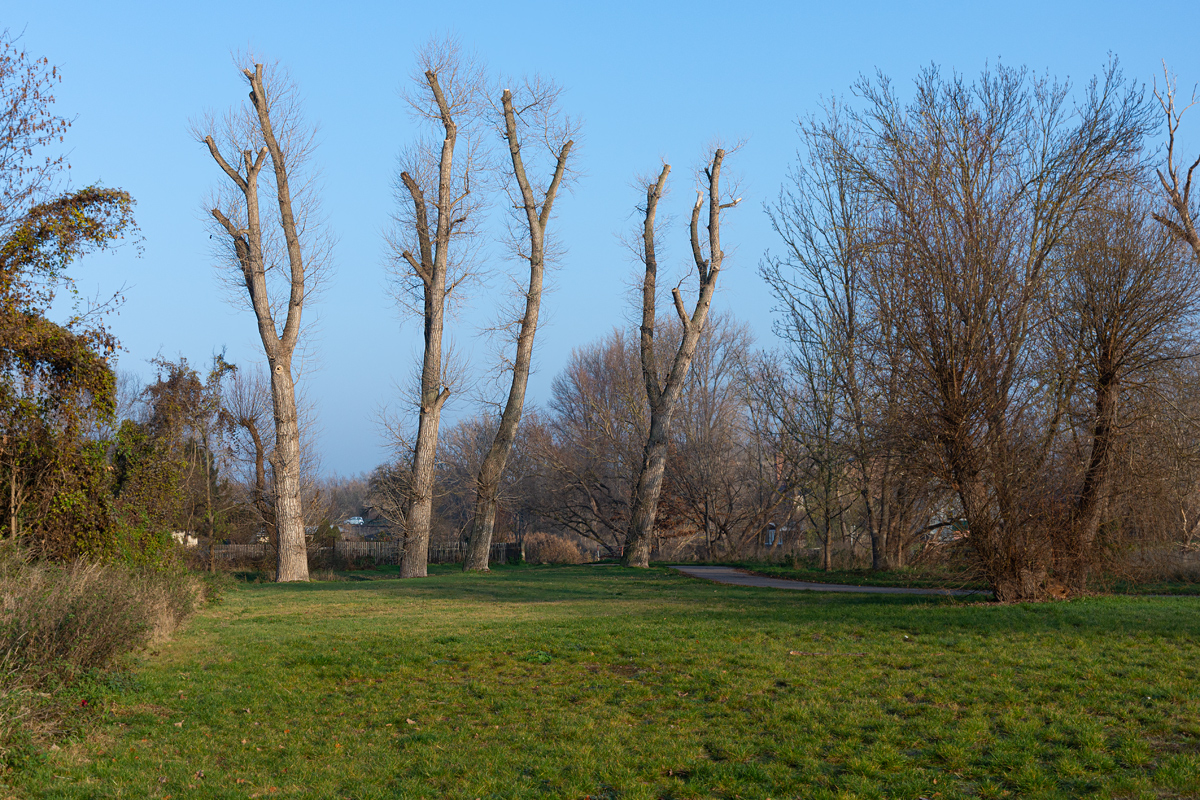 OF2_45567.jpg