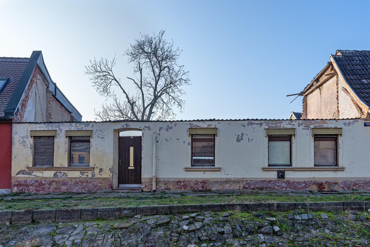 OF2_45600.jpg
