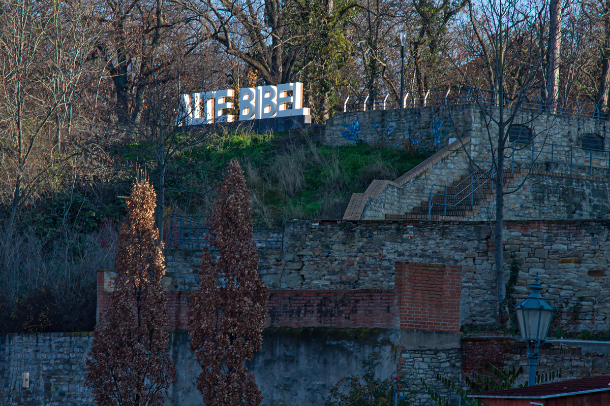 OF2_46081.jpg