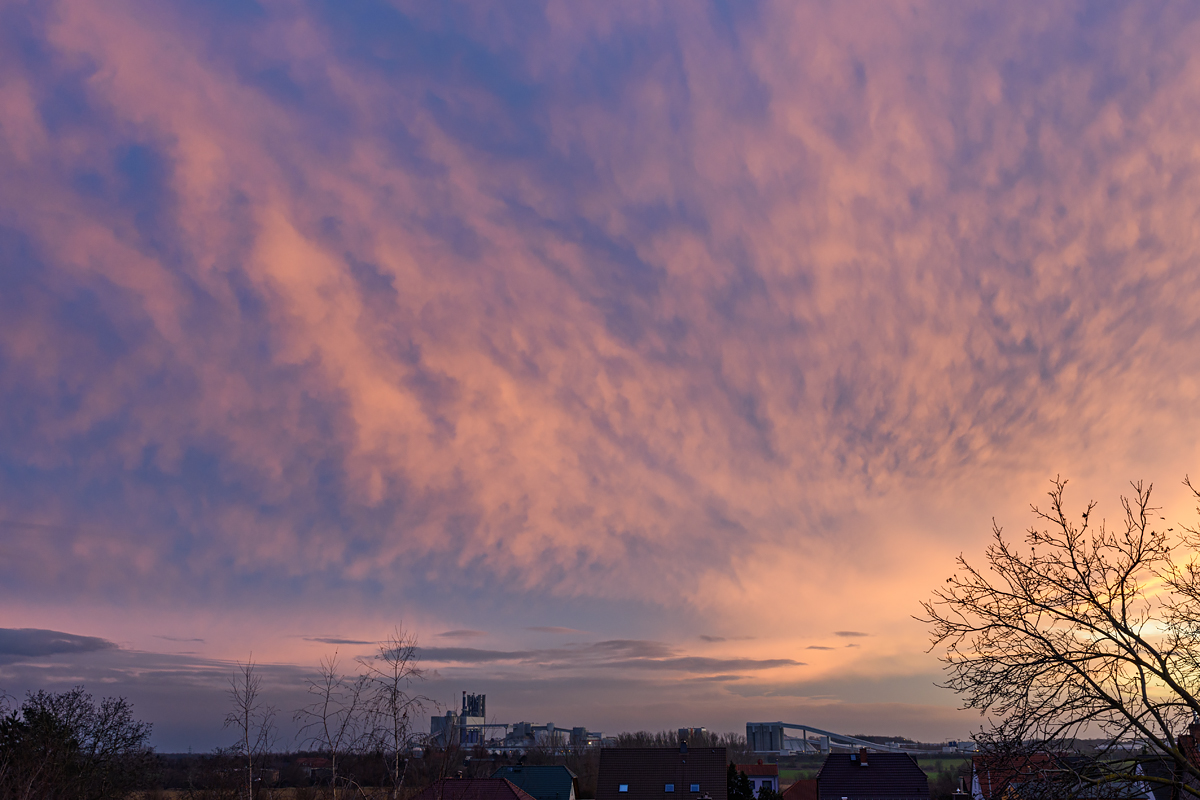 OF2_46198.jpg