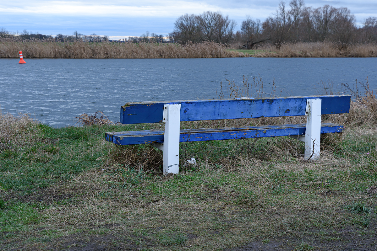 OF2_46938.jpg