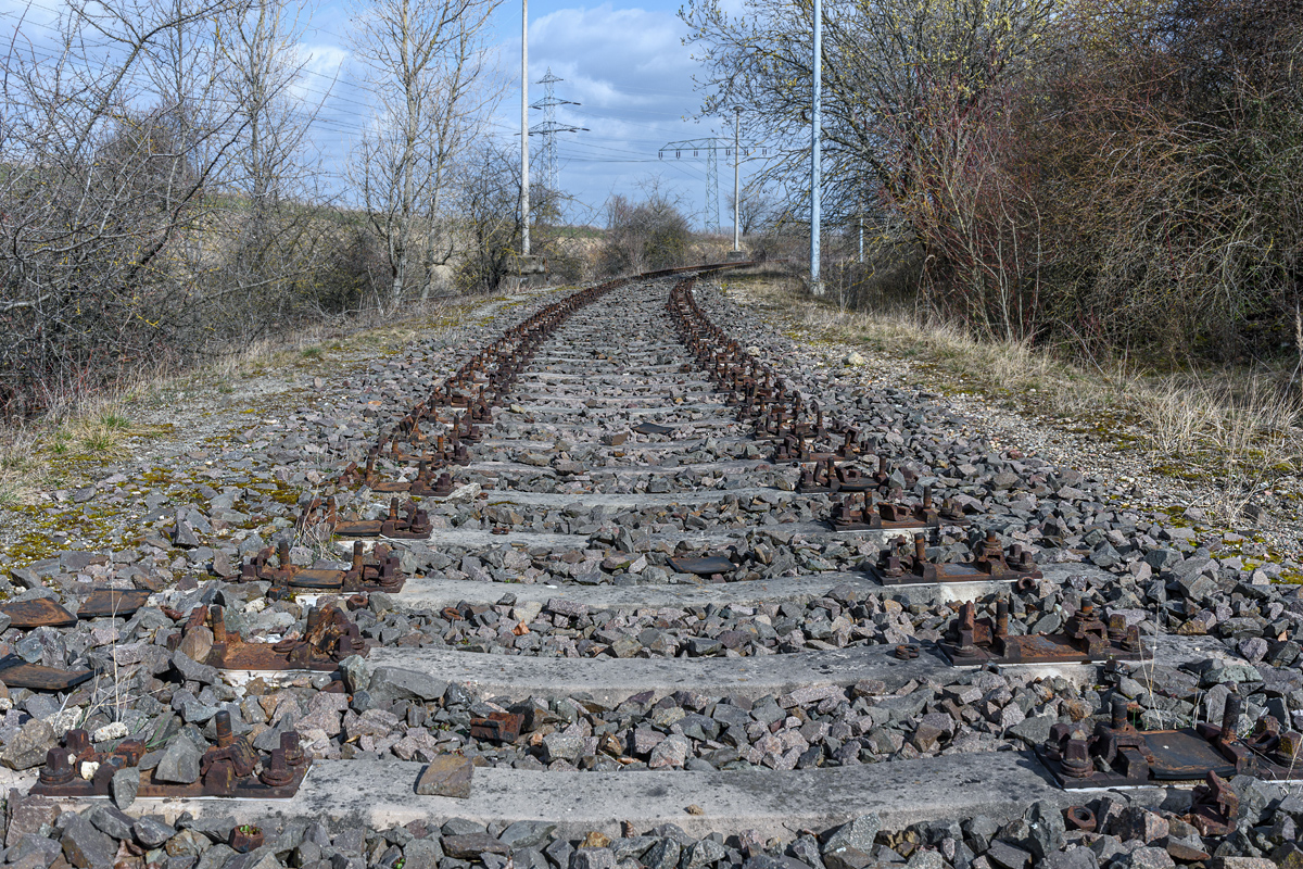 OF2_48394.jpg