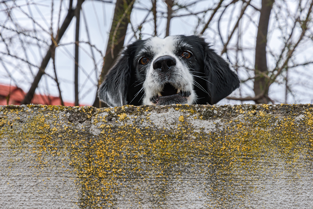 full