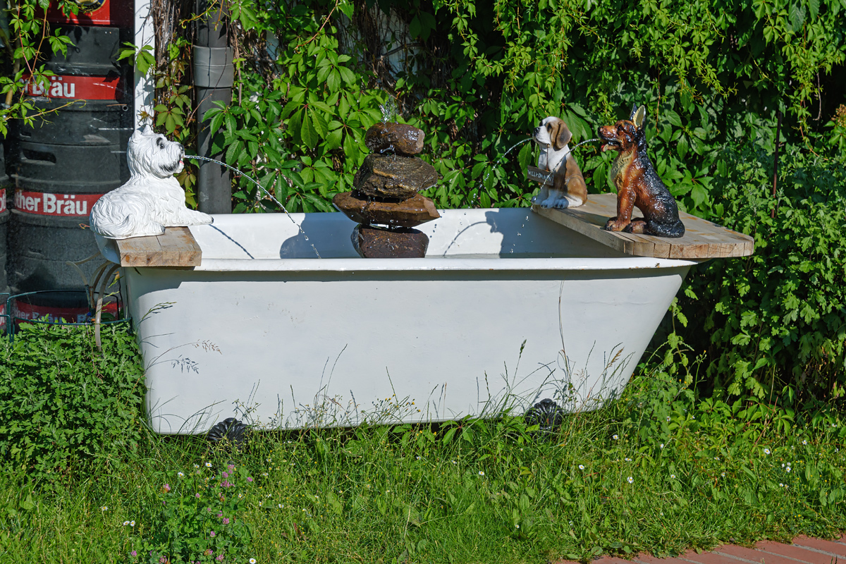 OF2_50079.jpg