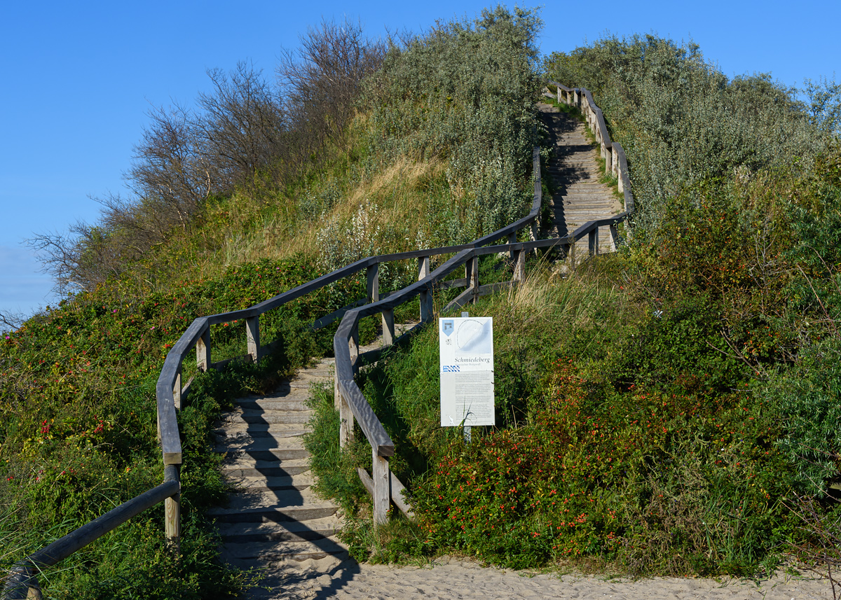 OF2_52957.jpg