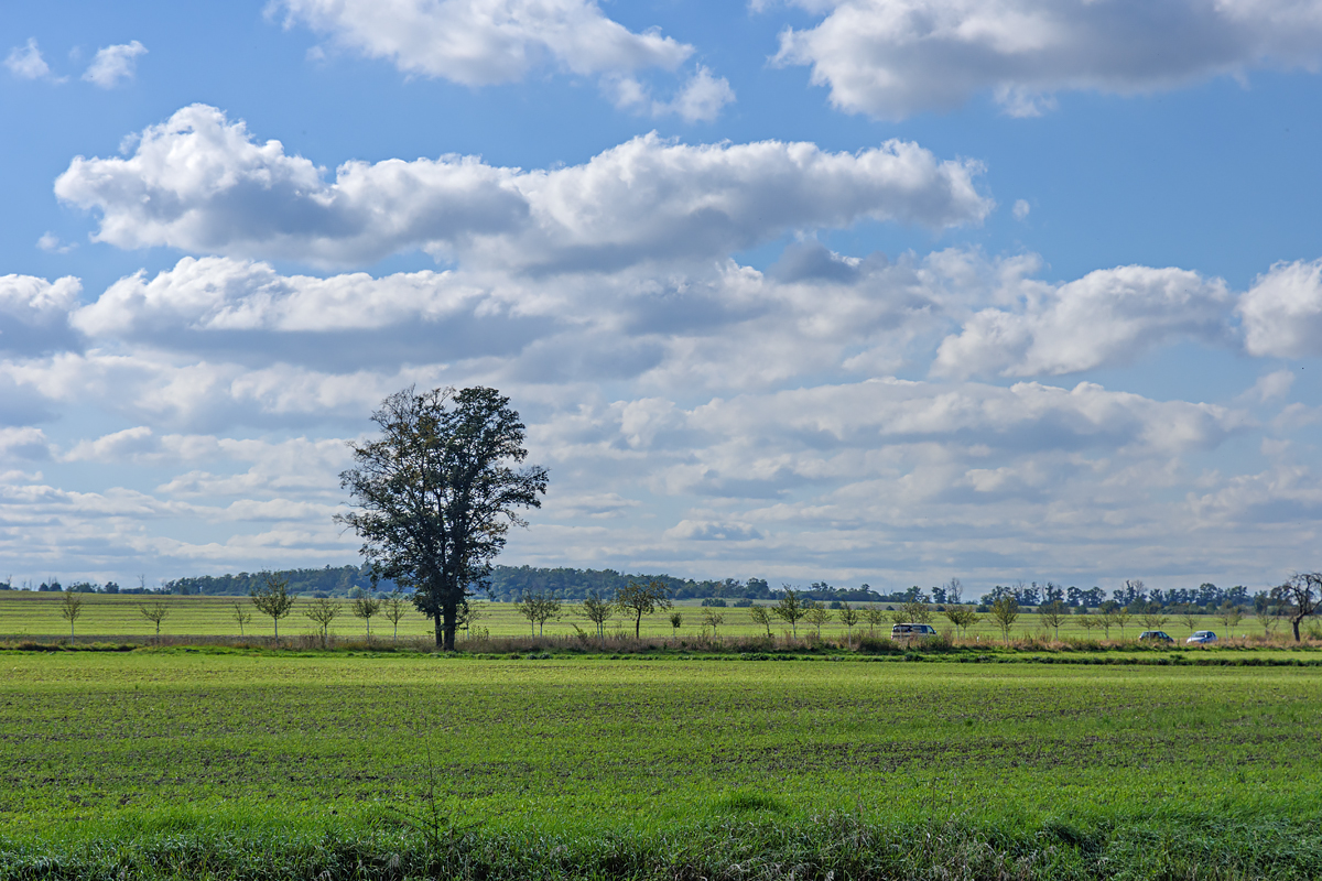 OF2_54065.jpg