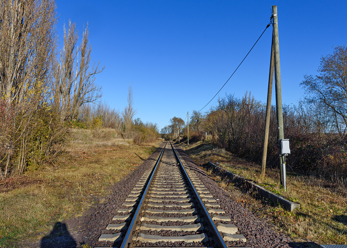 OF2_54495.jpg
