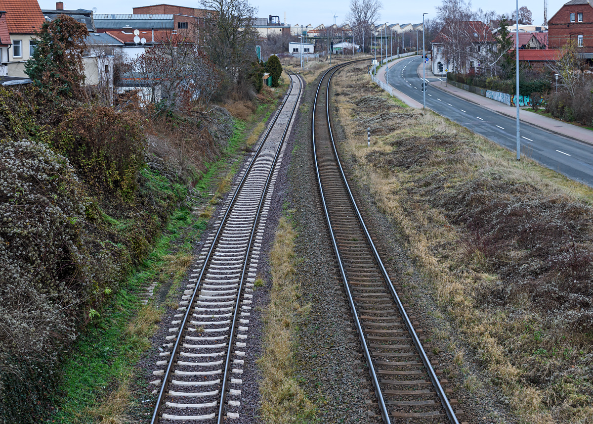 OF2_54646.jpg