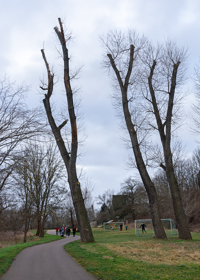 OF2_55159.jpg