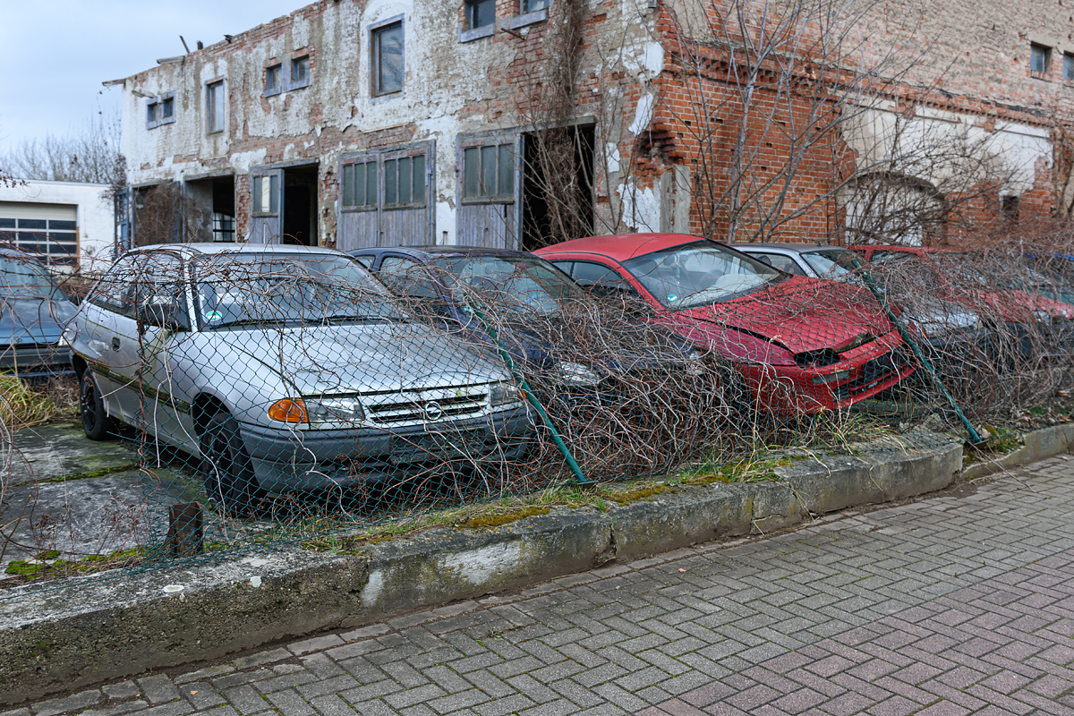OF2_55181.jpg