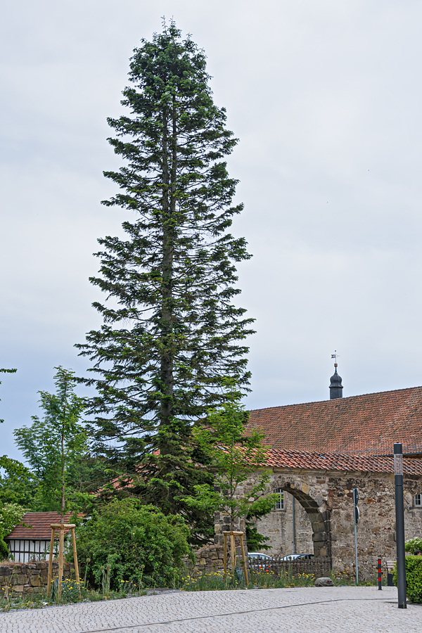 OF2_56362.jpg