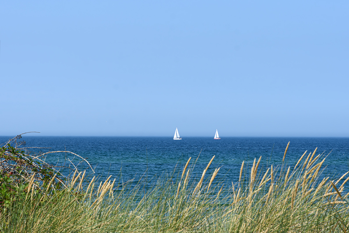 OF2_57803.jpg