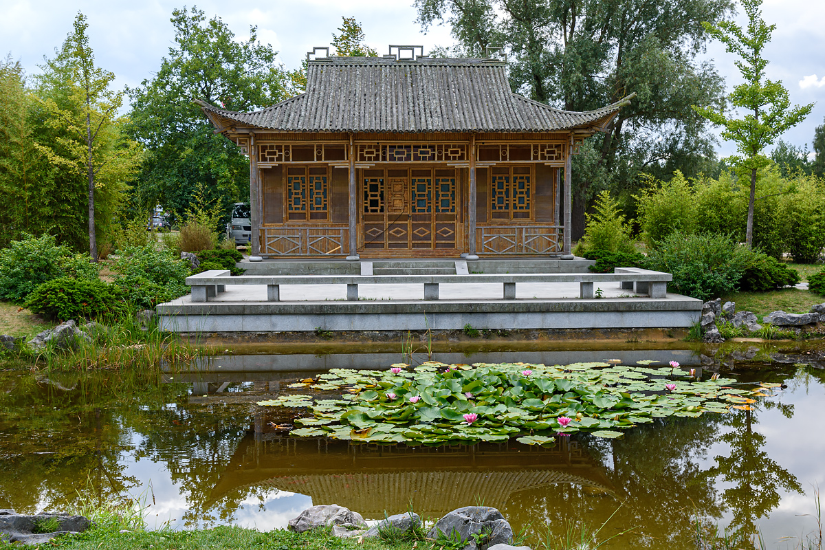 OF2_58707.jpg