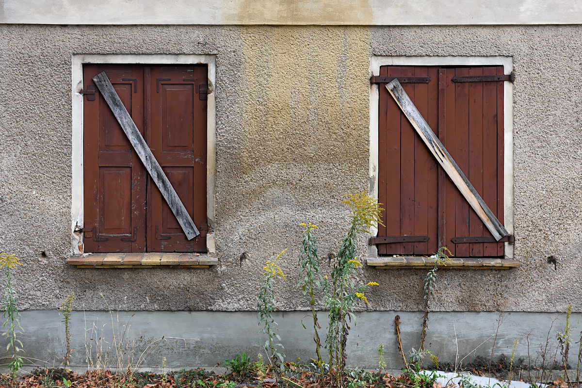 OF2_60030.jpg