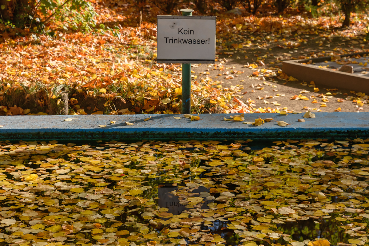 OF2_60286-2.jpg