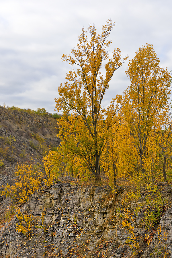 OF2_60330.jpg