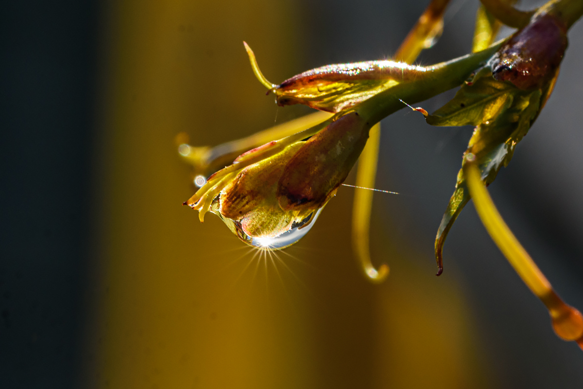 OF2_60397.jpg