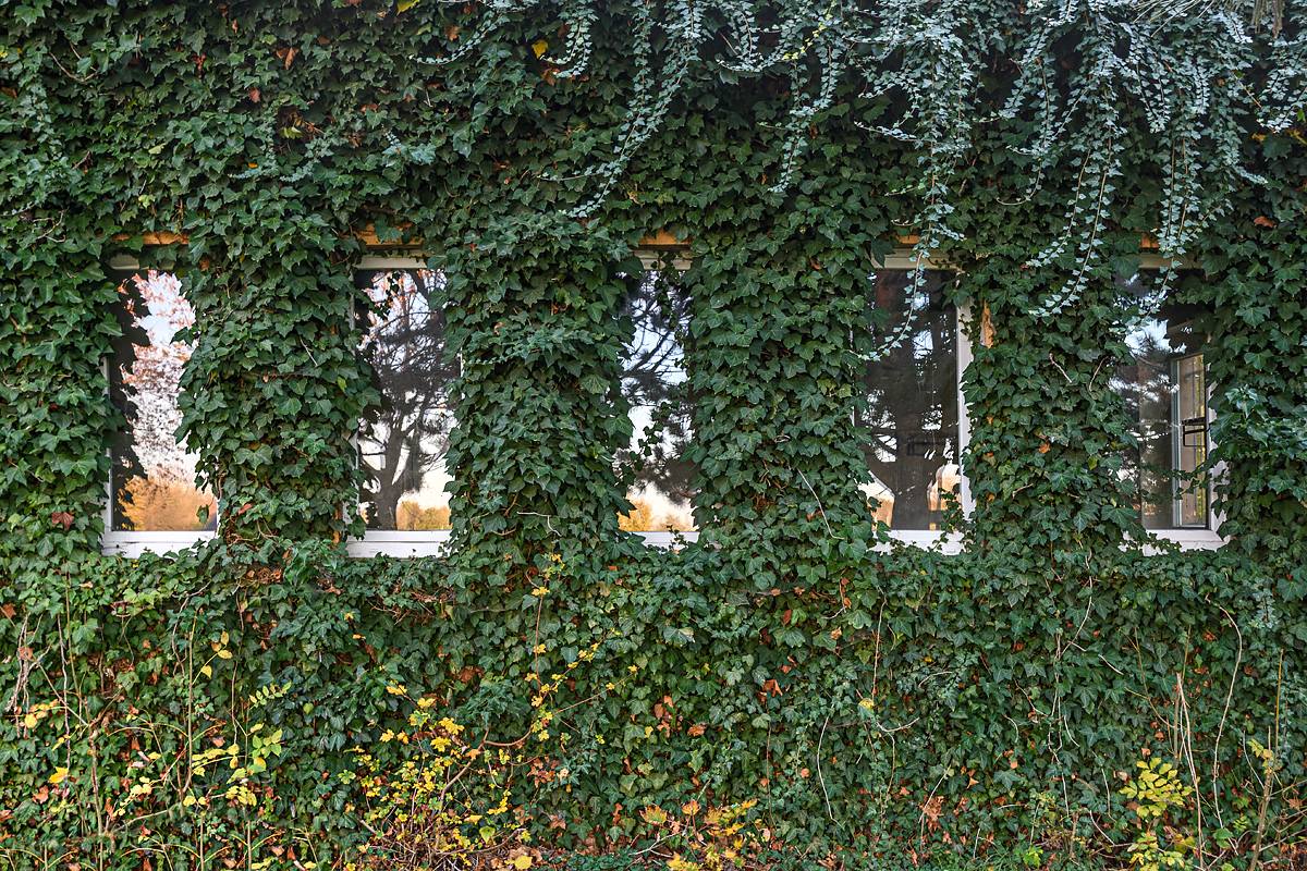 OF2_60644.jpg